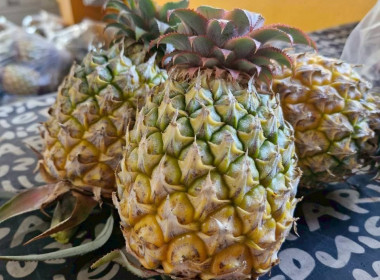 สำนักงานสหกรณ์จังหวัดเชียงรายกระจายผลผลิตสับปะรดภูแลออกนอกพื้นที่การผลิต ... พารามิเตอร์รูปภาพ 5